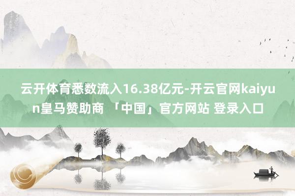 云开体育悉数流入16.38亿元-开云官网kaiyun皇马赞助商 「中国」官方网站 登录入口
